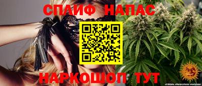 спиды Заводоуковск