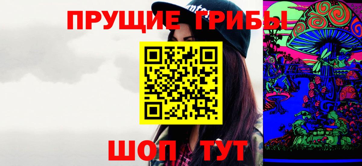 Галлюциногенные грибы Psilocybe Курчатов